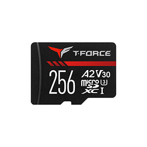 十銓科技 GAMING A2 記憶卡 256GB
