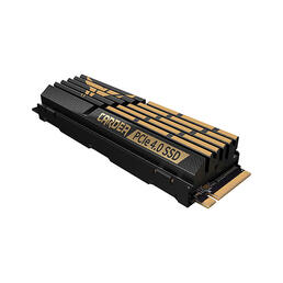 CARDEA A440 黑曜女神 M.2 PCle SSD
