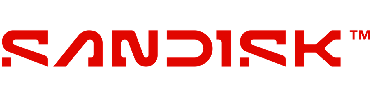 WD_BLACK™ SN8100 NVMe™ SSD (Powered by SANDISK)