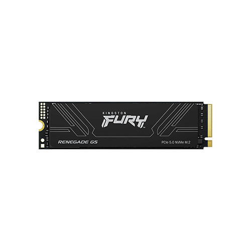 FURY Renegade G5 SSD
